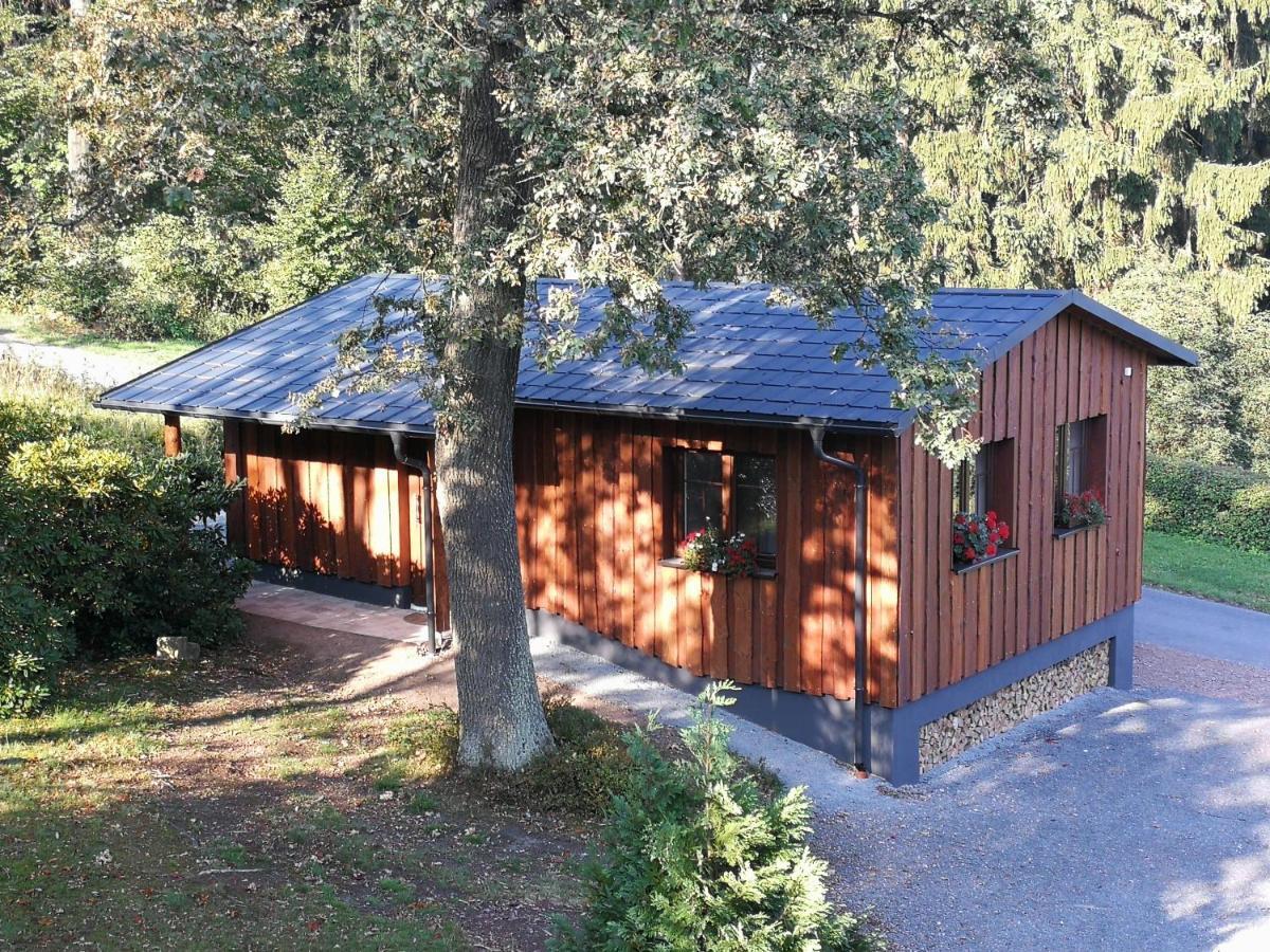 Апартаменти Haus Waldfrieden Altenberg Екстер'єр фото
