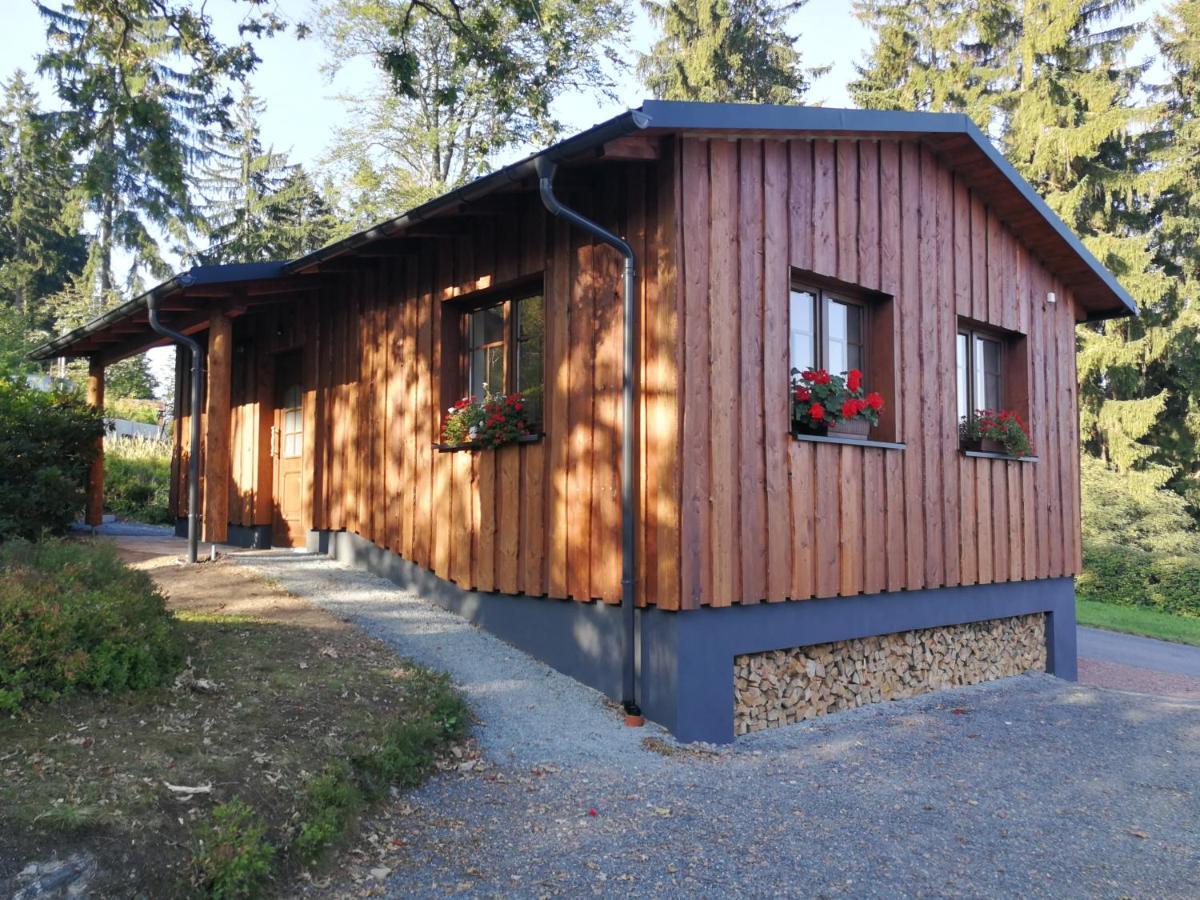 Апартаменти Haus Waldfrieden Altenberg Екстер'єр фото