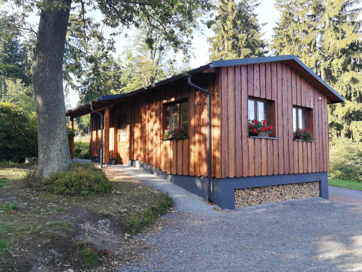Апартаменти Haus Waldfrieden Altenberg Екстер'єр фото
